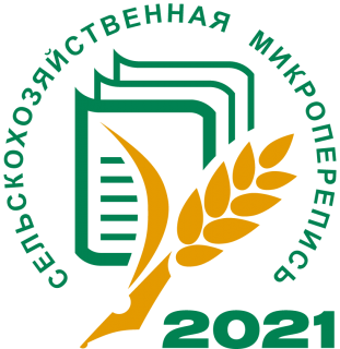 перепись