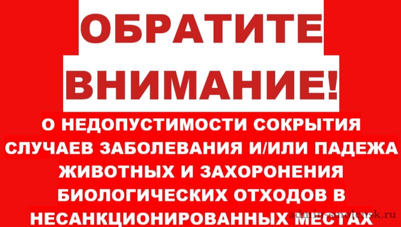NaJq kYT9Cvn2v7J38 Qvbr5a4OCx9wfNa 0 r79ftPD39vRgNmbv eYS9UqISIolpM6FjqfH8YN4k Gh9TCwXQD