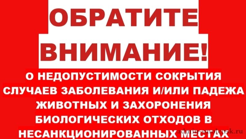 suhiTjO62BLsTpwxPG7OhCVUdpfvSuptWpiy3K63ec5HwjyyESLk5RTZaPAItiGF7NB7S1mxU4I z0AjcAiB12ug
