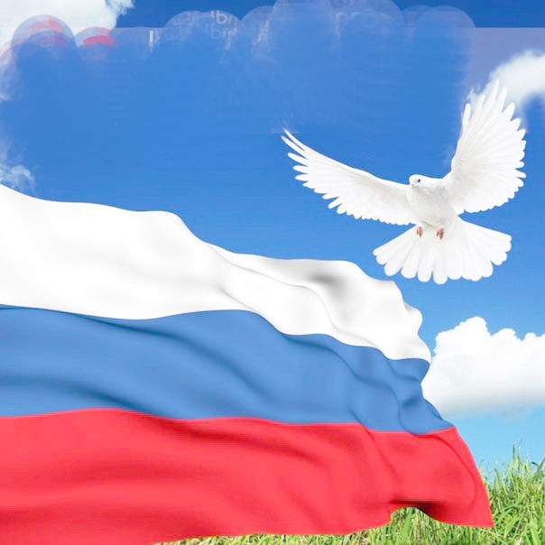 деньгосфлага